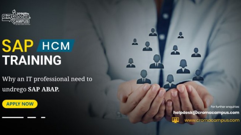 Is it Better To Do SAP HR Certification or SAP HCM Certification?
