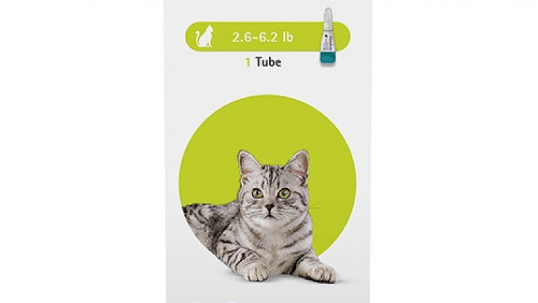 Buy Bravecto Spot On for Cat Flea Tick treatment