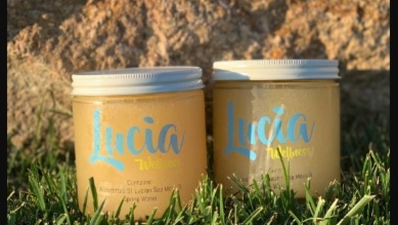 The Health Benefits of Sea Moss