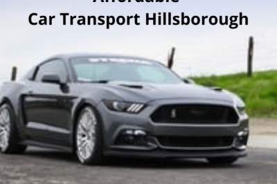 Multiple Car Transporter Company