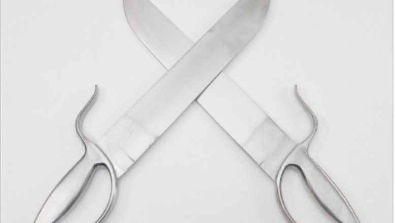 Wing Chun Butterfly Swords