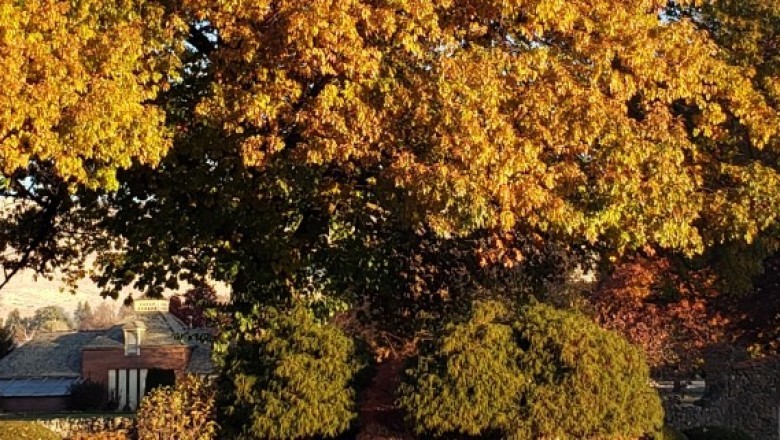 Home Insurance In Yakima WA