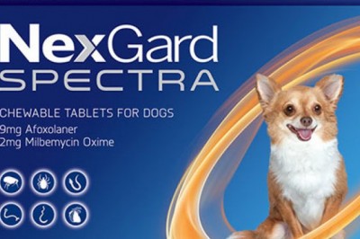 Nexgard Spectra For Dogs