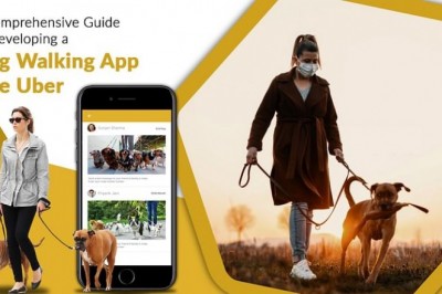 End-to-end process of building Dog walking app