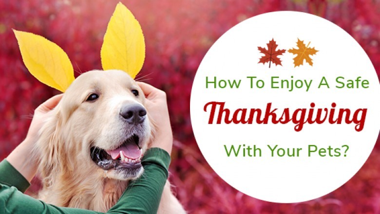 How To Enjoy A Safe Thanksgiving With Your Pets?