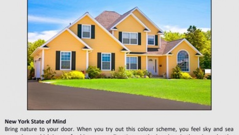 Interior & Exterior Painting Services In Auckland