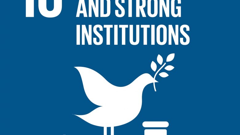 Peace, Justice and Strong Institutions in Haryana provider