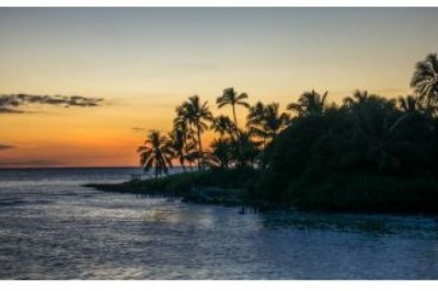 Business For Sale Cape Coral