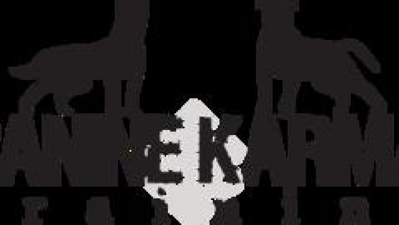 Dog Training Nassau County