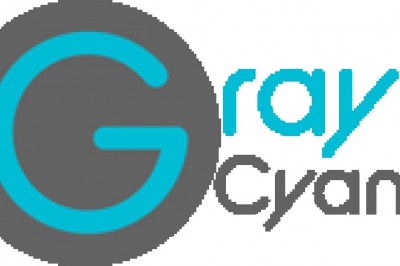 seo company toronto - Web Designing - Graycyan