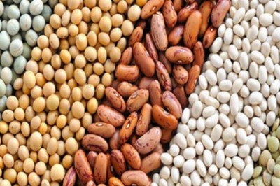 Why Agriculture is the breath of an Indian Economy?