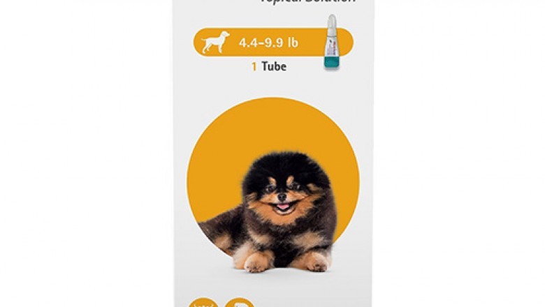 Bravecto topical for dogs | Buy Bravecto Flea and Tick Treatment