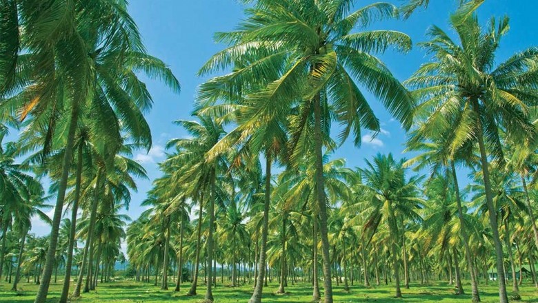 Organic coir growing media industry