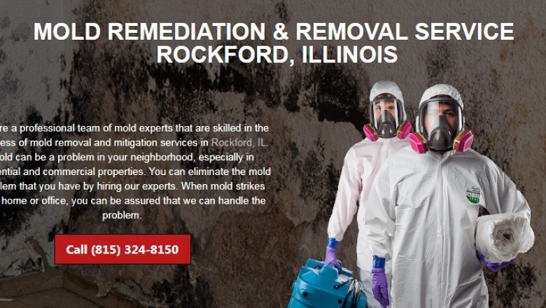 Mold Removal - 5 Facts You should Know