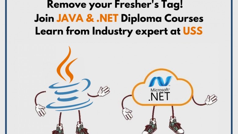 java developer fresher jobs