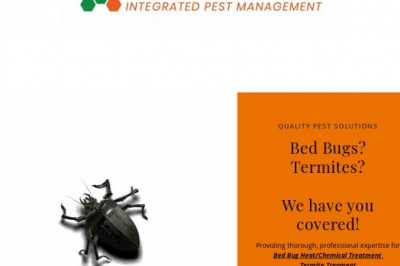 Termites Solutions Indianapolis