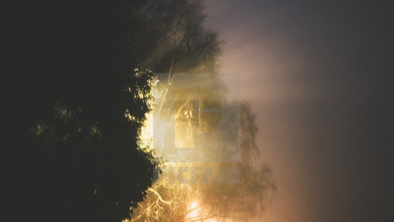 What type of Photography Do You would like?