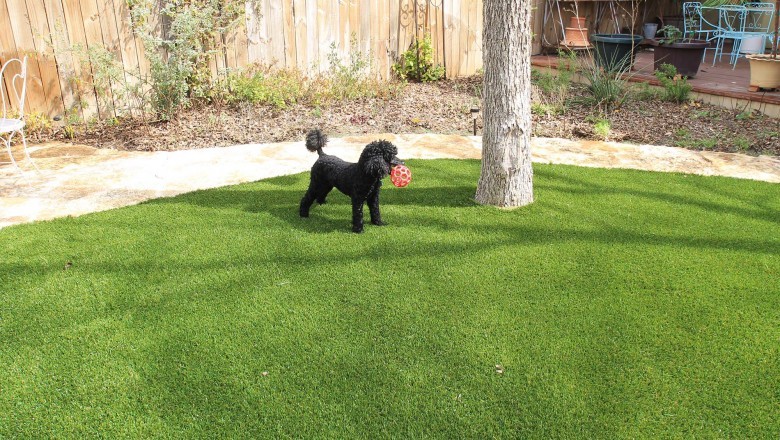 Turf Grass Austin TX