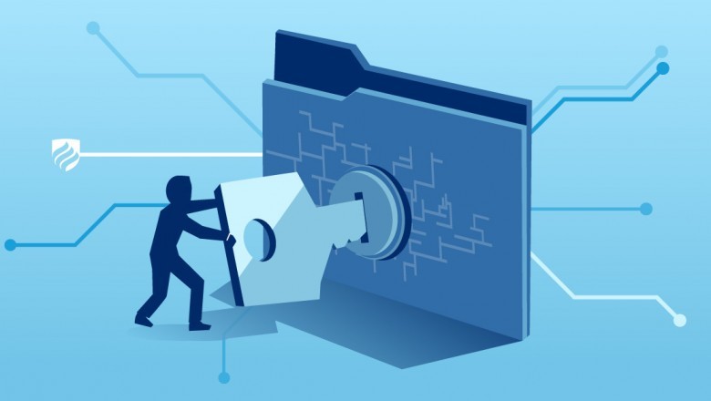 Information Security vs Cyber Security: Key Differences and Similarities