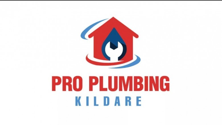 The way to Know You Chose an expert Plumber