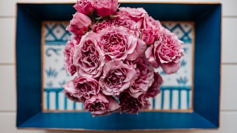 Discover the Beauty and Uses of Sola Flowers