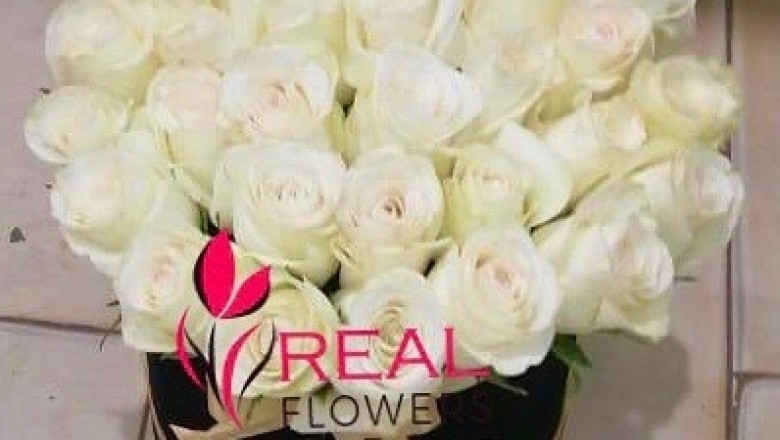 OCCASIONS - REAL FLOWER