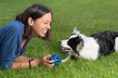 South Windsor Bark Park