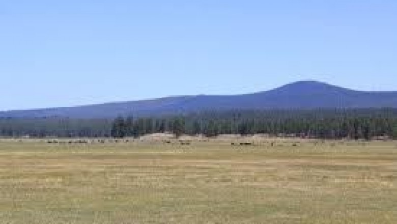 Wonderful and Affordable Land Buying Opportunity in the USA - APXN Property