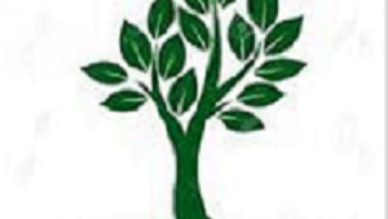Peoria Tree Services