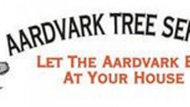 What is the Require of a professional Tree Service?