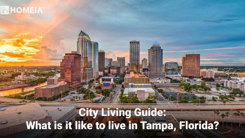 12 Key Factors You Must Know Before Living in Tampa, Florida