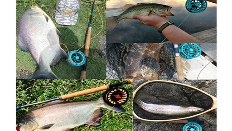 3 Ways to go Fly Fishing with a Spinning Rod
