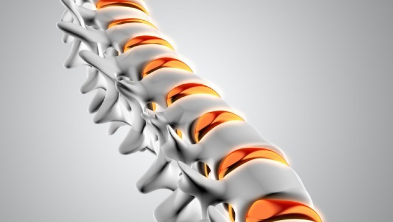 Dental Membranes and Bone Graft Substitutes Market – Global Market Analysis