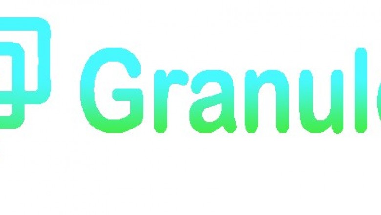 ERP program management experts | ERP service delivery management in Mumbai, India | Granuler