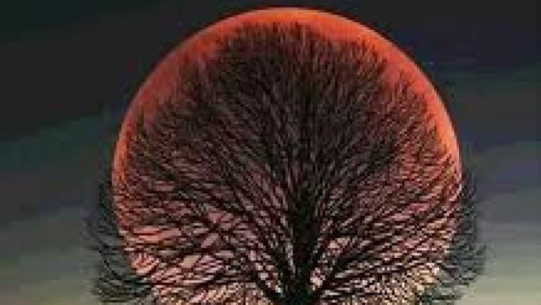 Tips to Choose Best PCD Pharma Franchise Company