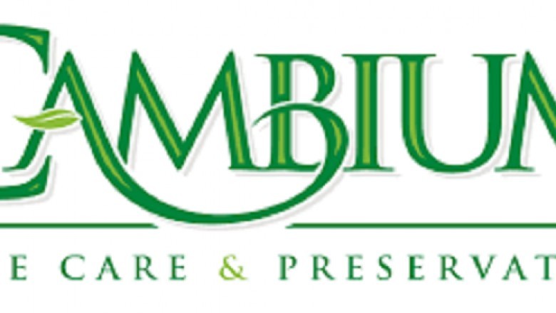 Tree Service Gulfport