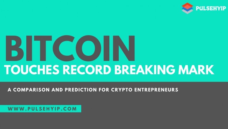 Start your Crypto Investment Business Today from Pulsehyip with 50% New Year Offer