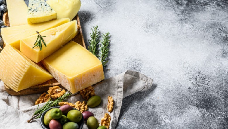 Global Mozzarella Cheese Market Industry Analysis, Growth