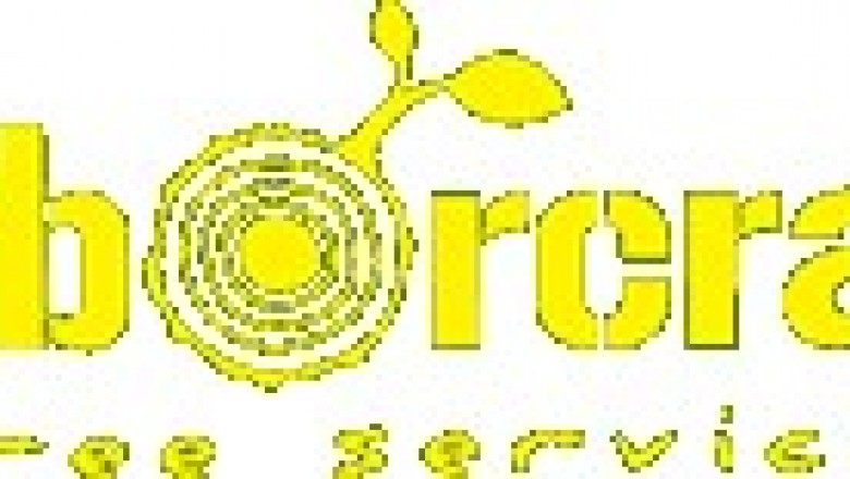 Bayside Tree Works Permits | ArborCraft Tree Services Melbourne, VIC