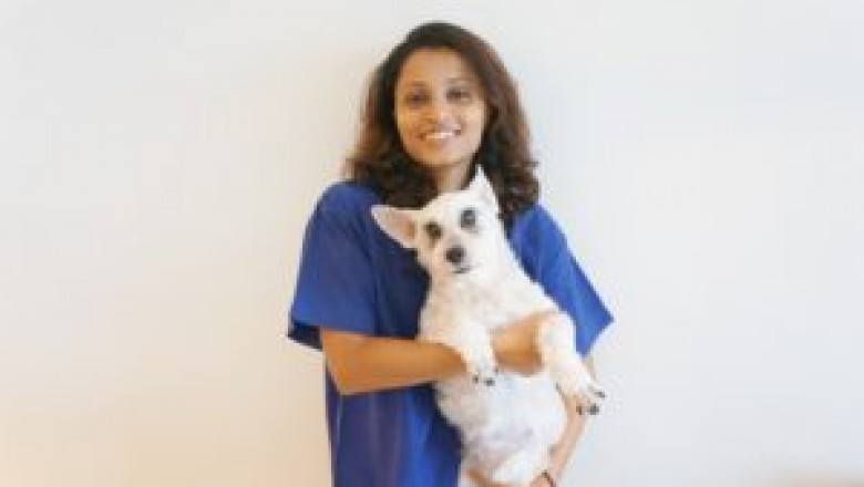 Tips For Protecting Your Dogs In Winters | Pet Clinic In Singapore