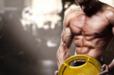 Best Gyms For Workout In Allentown Pa