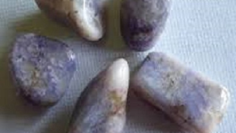 Numerologist in Bandra