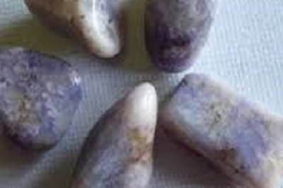 Numerologist in Bandra