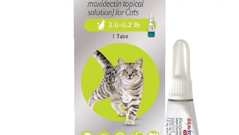 Bravecto Plus for Cats - Flea, Tick, and Heartworm Spot-on Preventative for Cats