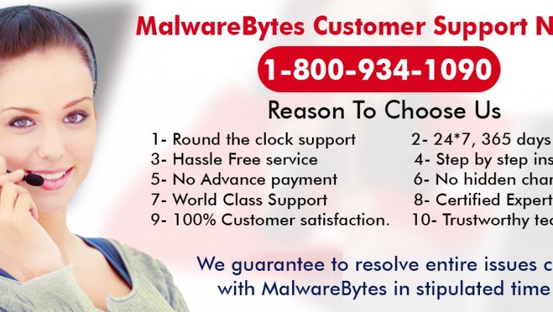 Malwarebytes not Updating