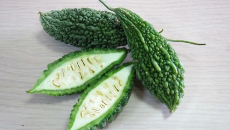 Top 10 Health Benefits of Bitter Gourd [Karela]
