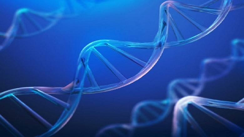 Gene synthesis in the area of molecular biology has emerged as a novel application