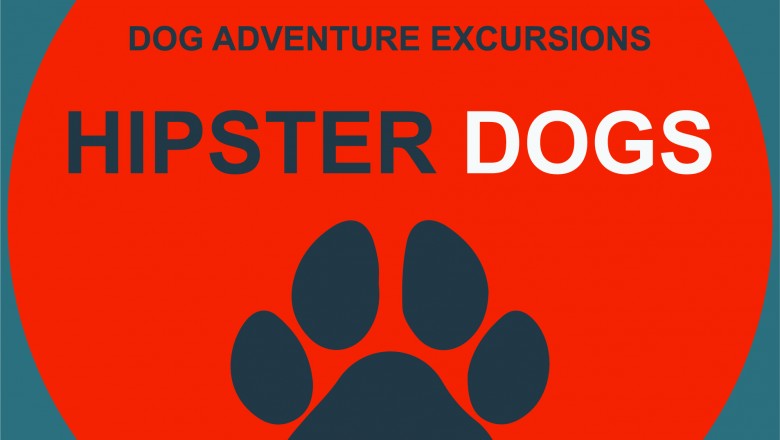 Are you looking for a dog walker? Here are some ways of picking a good fit