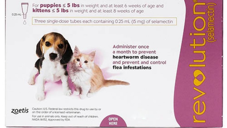 Revolution For Cats flea treatment