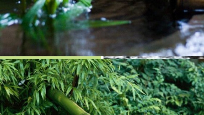 Tips on how to Go About Deciding on Bamboo Shade Designs